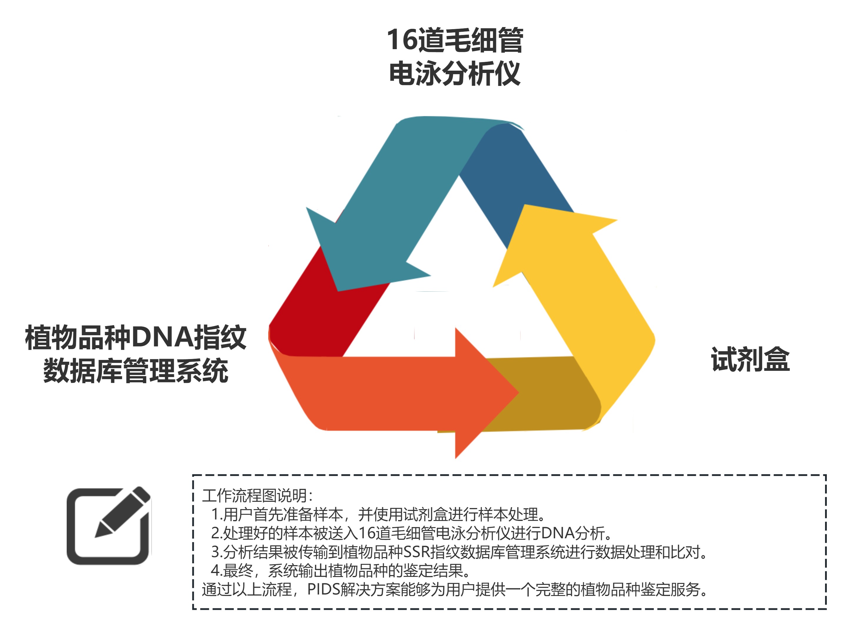 PIDS工作流程图